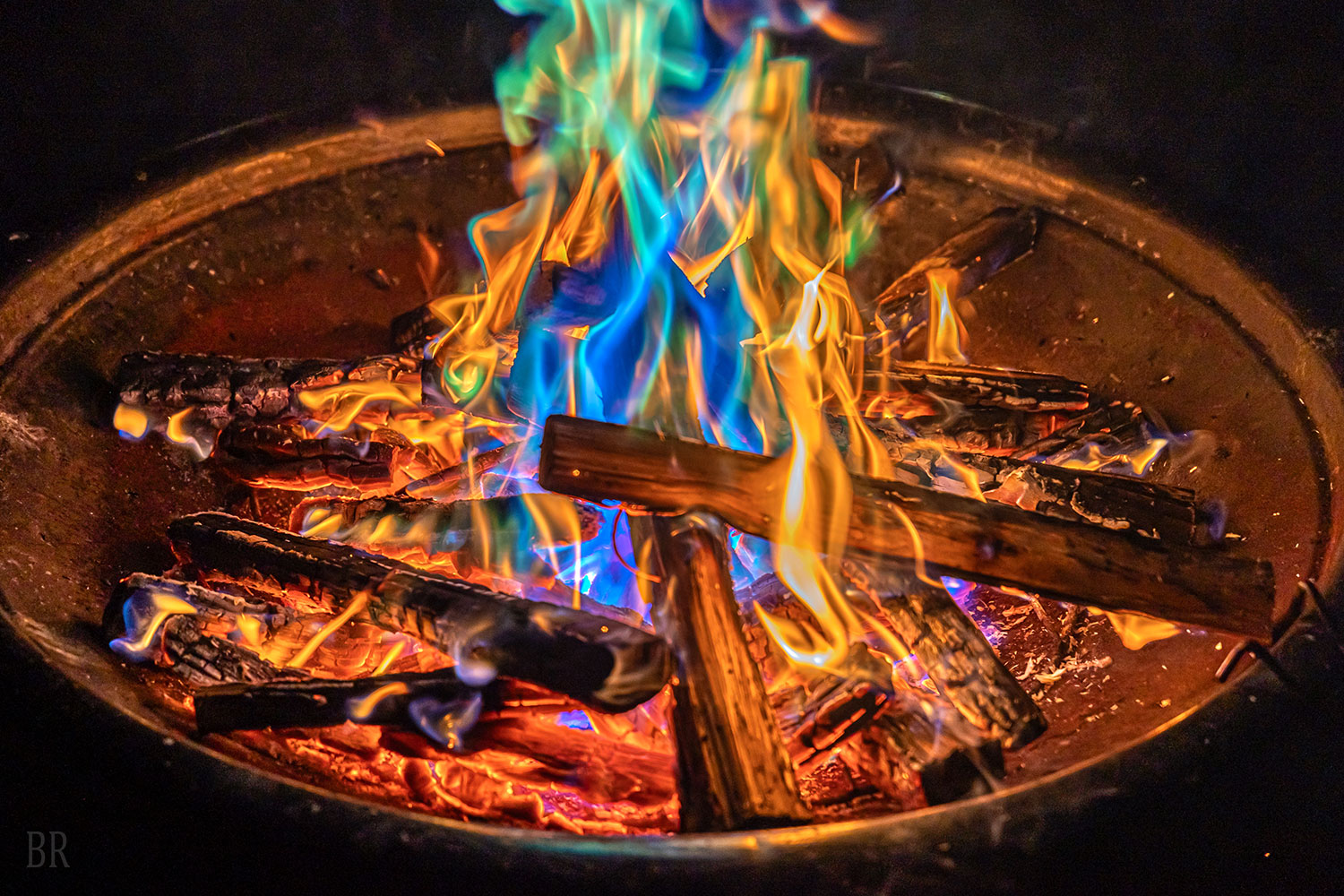 ナイトアクティビティ